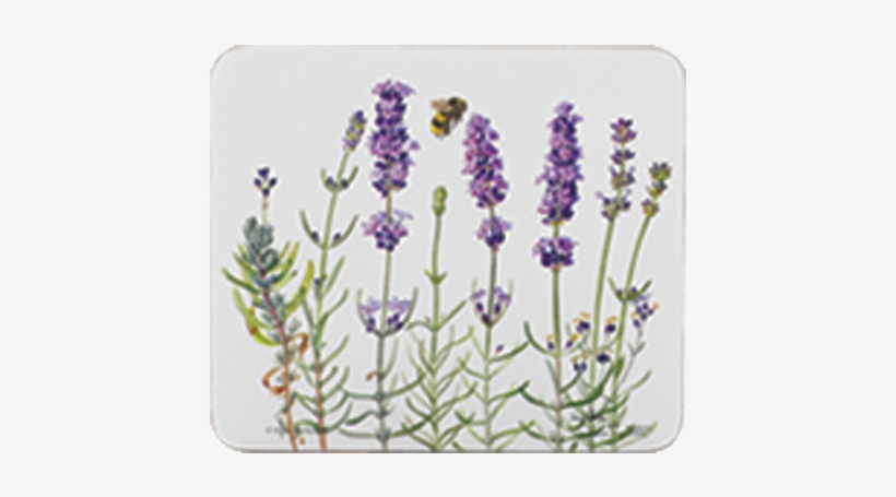 89346 Medium Tray Ilovelavender, 18547 Coaster Ilovelavender - Lavender Table Mats Uk, transparent png #368220