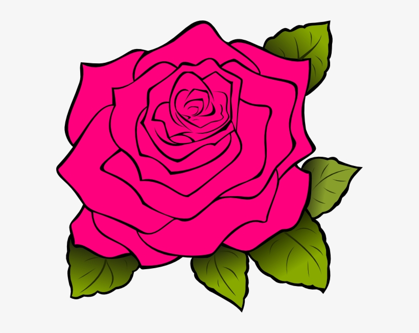 15 Cartoon Rose Png For Free Download On Mbtskoudsalg Roses Clipart Free Transparent Png Download Pngkey