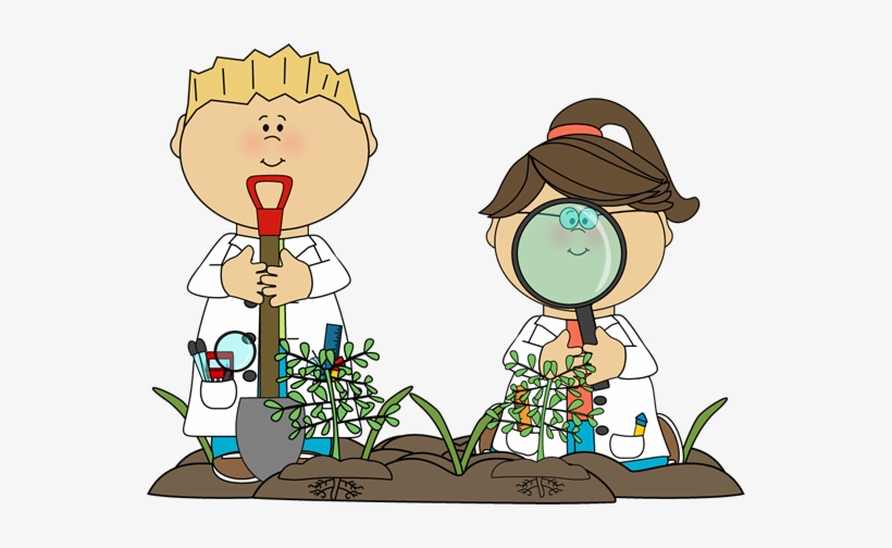 Nature Clipart For Kid Png - Science In Primary School, transparent png #368339