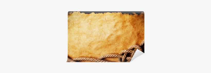 Colonial State: Theory And Practice, transparent png #369274