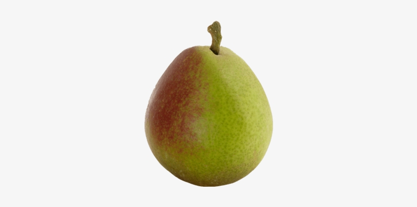 Seckel - Asian Pear, transparent png #369924