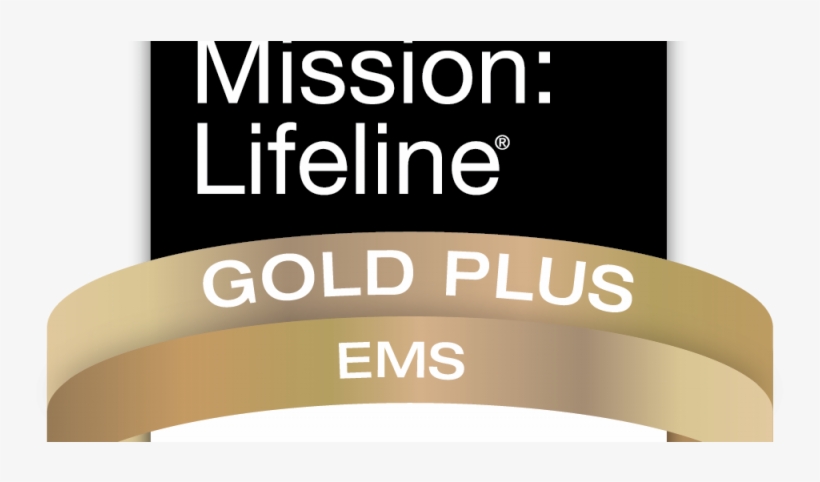 Mission Lifeline Gold Plus Ems Award 2017 - Boss Life: Surviving My Own Small Business [book], transparent png #3600341