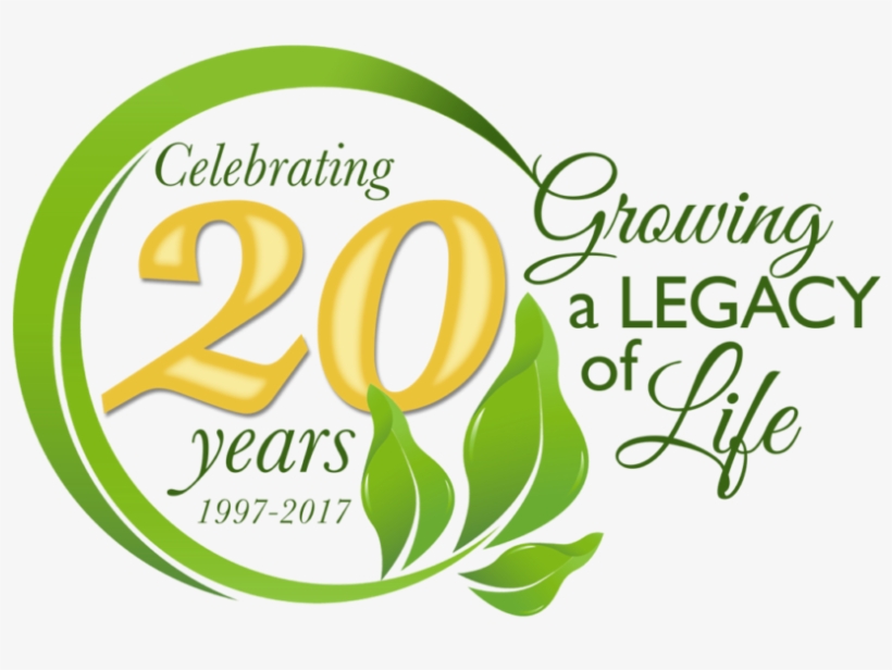 Your Owner's Manual For Life, transparent png #3600522