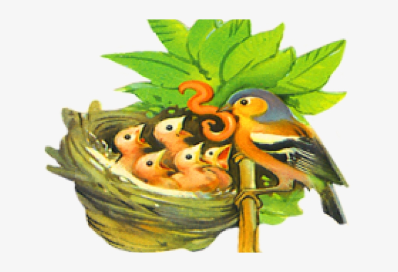 Bird Nest, transparent png #3601138