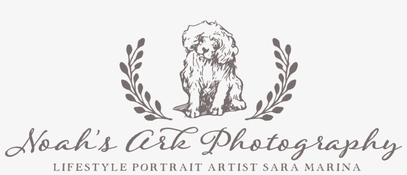 Noah's Ark Photography - Stilvolle Orange Brown- U. Visitenkarte, transparent png #3601341