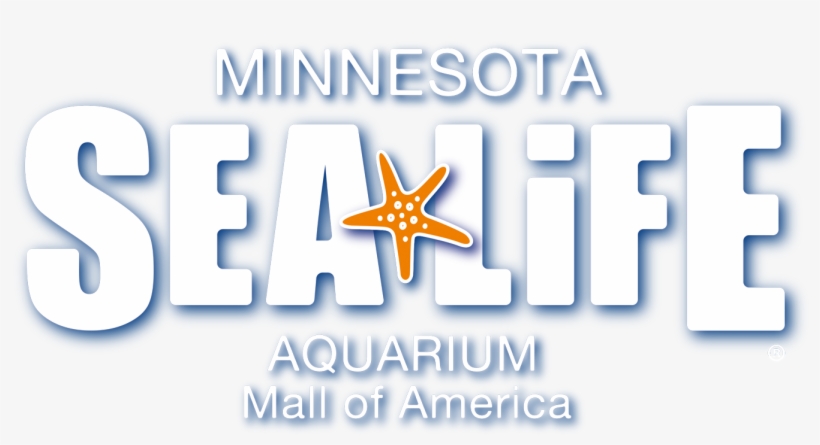 Jabber Logic Sea Life Aquarium Case Study - Sea Life Aquarium Poster, transparent png #3602372