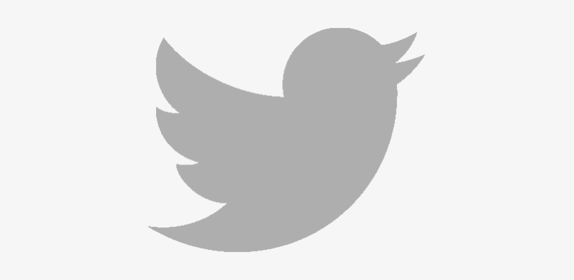 Twitter Logo Png White Download - Twitter Logo Grau Png, transparent png #3602471
