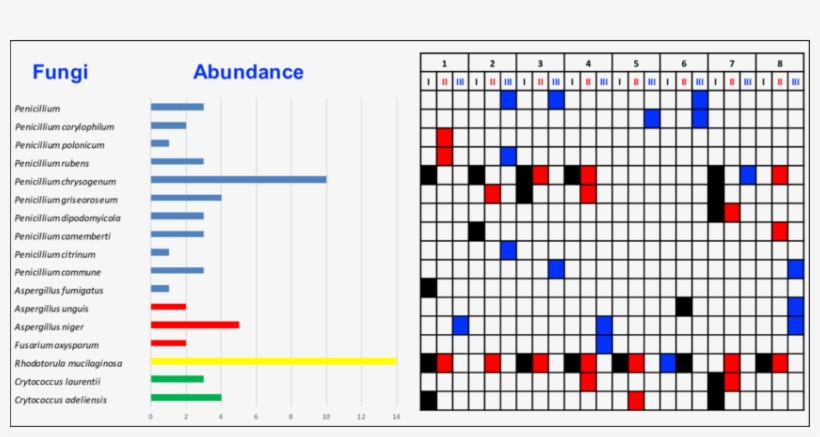 Spatial Distribution Of Cultivable Fungal Diversity - Wells Sinkware 16.13" X 1" Sink Grid, transparent png #3603189