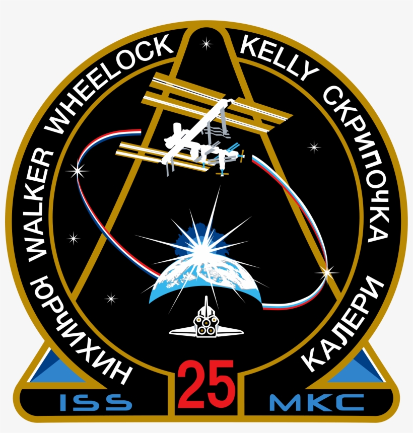 Iss Expedition 25 Patch - Cafepress Expedition 25 Wall Calendar, transparent png #3603456