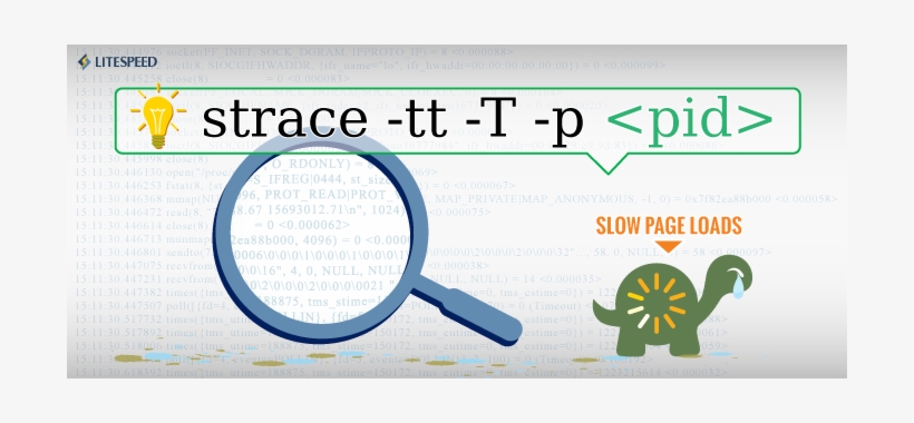 Diagnosing Performance Issues - Blog, transparent png #3603842