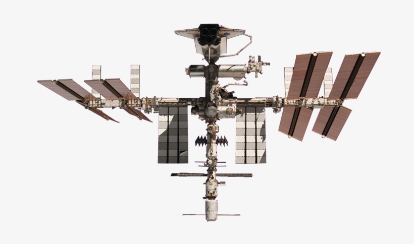 International Space Station - Human, transparent png #3603861