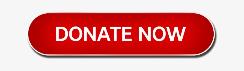 Donate-button - Donate Now, transparent png #3604317