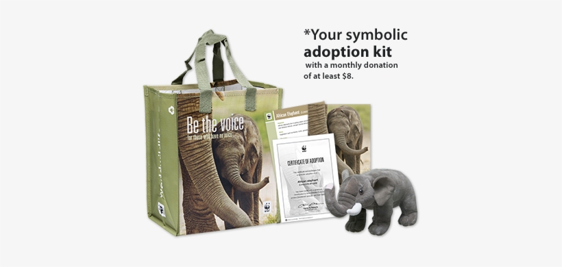 Elephant Adoption Kit - Wwf Elephant Adoption Certificate, transparent png #3604537