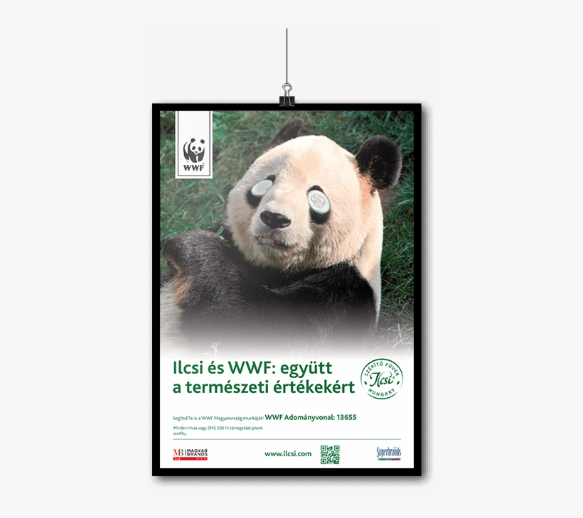 (англ. всемирный фонд охраны дикой природы wwf. всемирный фонд дикой природы wwf. Wwf россии логотип. Wwf обои.