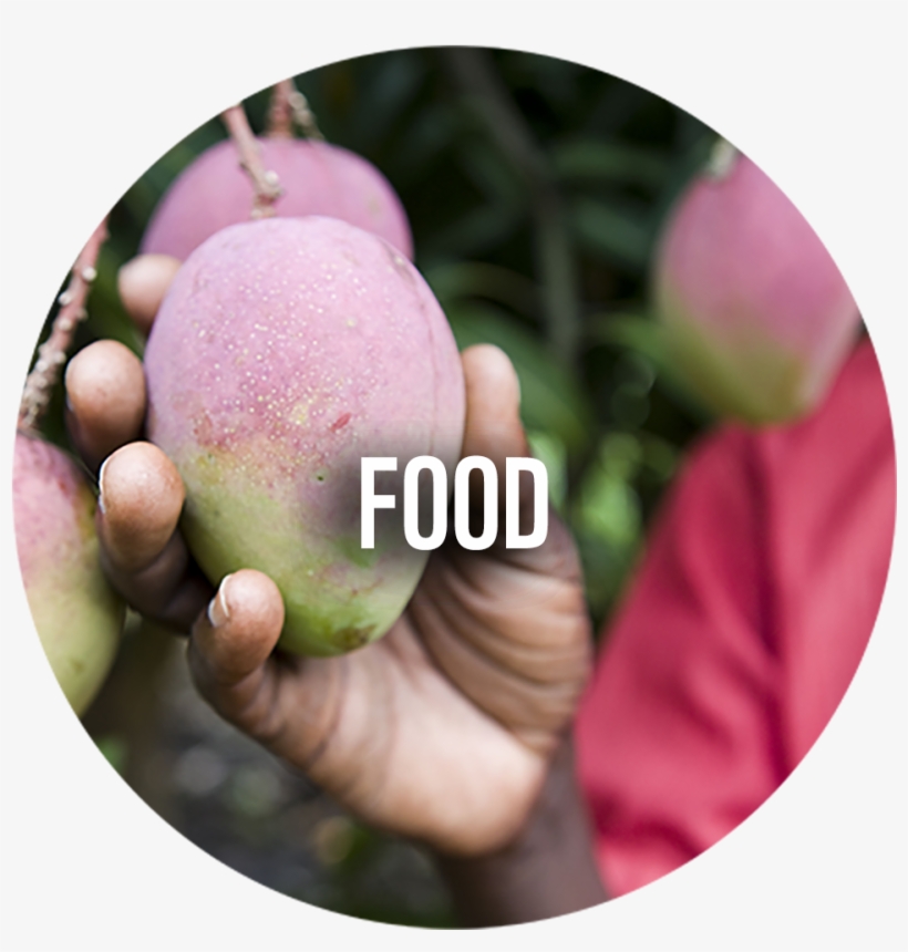 Wwf News - Fruit, transparent png #3604796