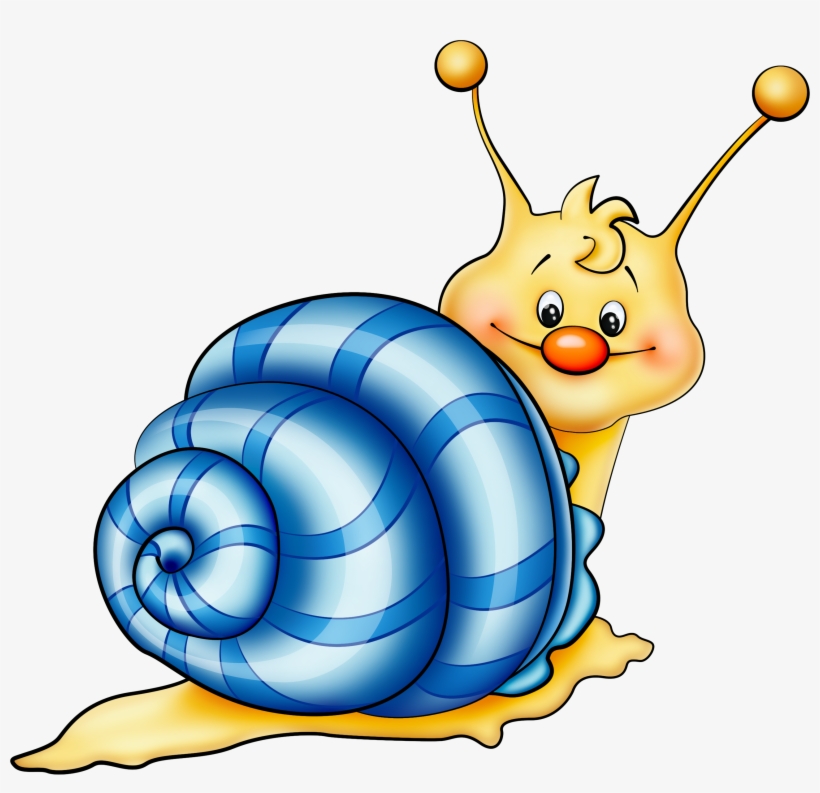 Blue Snail Cartoon Png Picture - Caracol De Mar Animado Png, transparent png #3604836