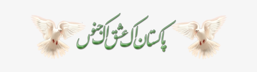 Khuda Karay Ke Meri Arz E Pak Per Utray - Pakistan Independence Day Png, transparent png #3605397