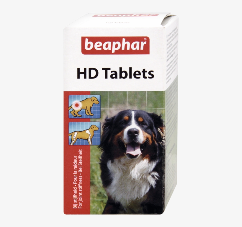 Hd Tablets - English - Hd Tablets For Dogs, transparent png #3605526