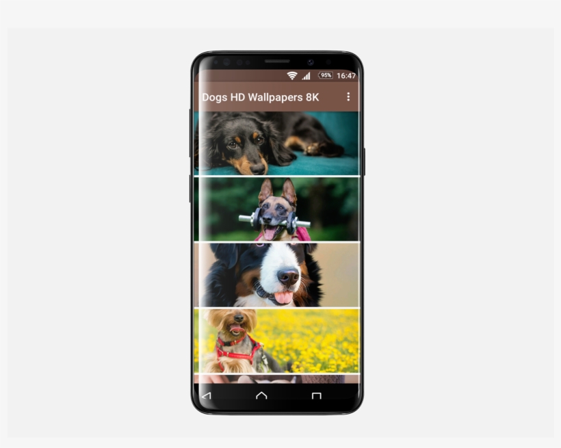 Coque Super Malinois Compatible Huawei Mate 8 Transparent, transparent png #3605642