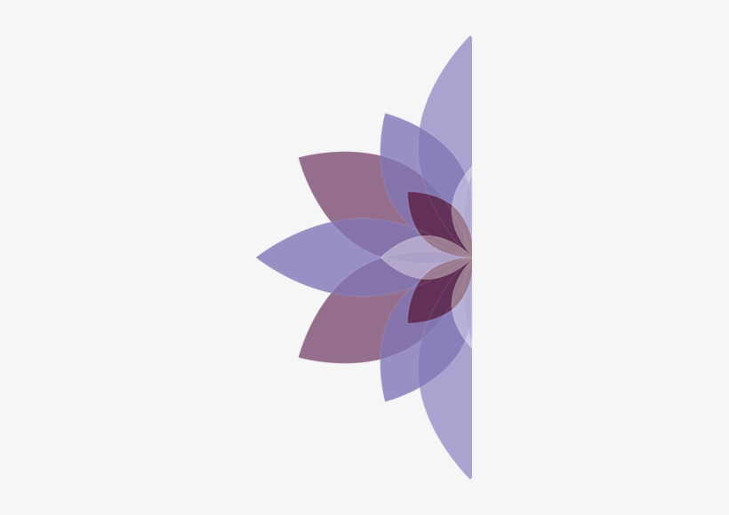 Lotus3-a - Floral Design, transparent png #3605864