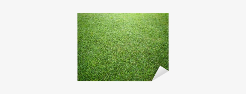 Lawn, transparent png #3606340