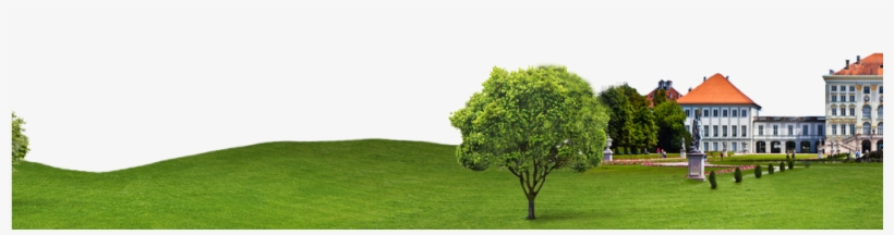 #pimcore - Fiori Di Bach, transparent png #3606517