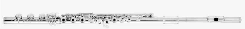 We Carry These Student Models With Most Of Our Brands - Flute, transparent png #3607251