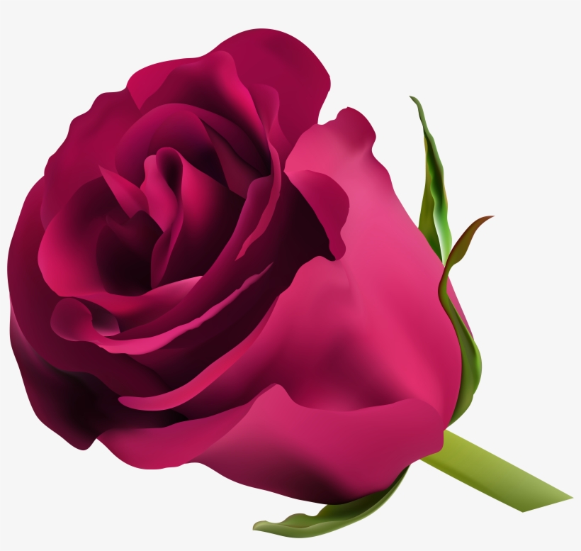Pink Rose Png Clip Art, transparent png #3607319