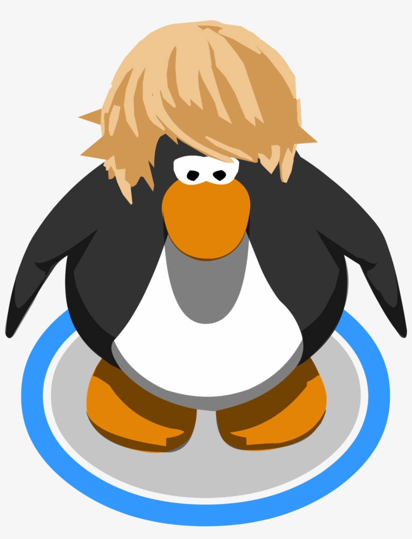 The Ice Seller Ig - Club Penguin Sombrero Png, transparent png #3607543