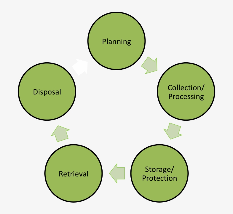 The Unsw Biorepository Has The Knowledge And Infrastructure - Ab Testing Process Cycle, transparent png #3608742