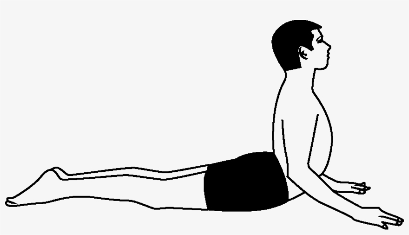 Bhujangasana - Bhujangasana Clipart, transparent png #3609483