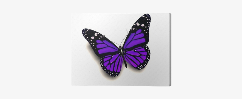 Purple 3d Butterfly Tattoo Designs, transparent png #3611410