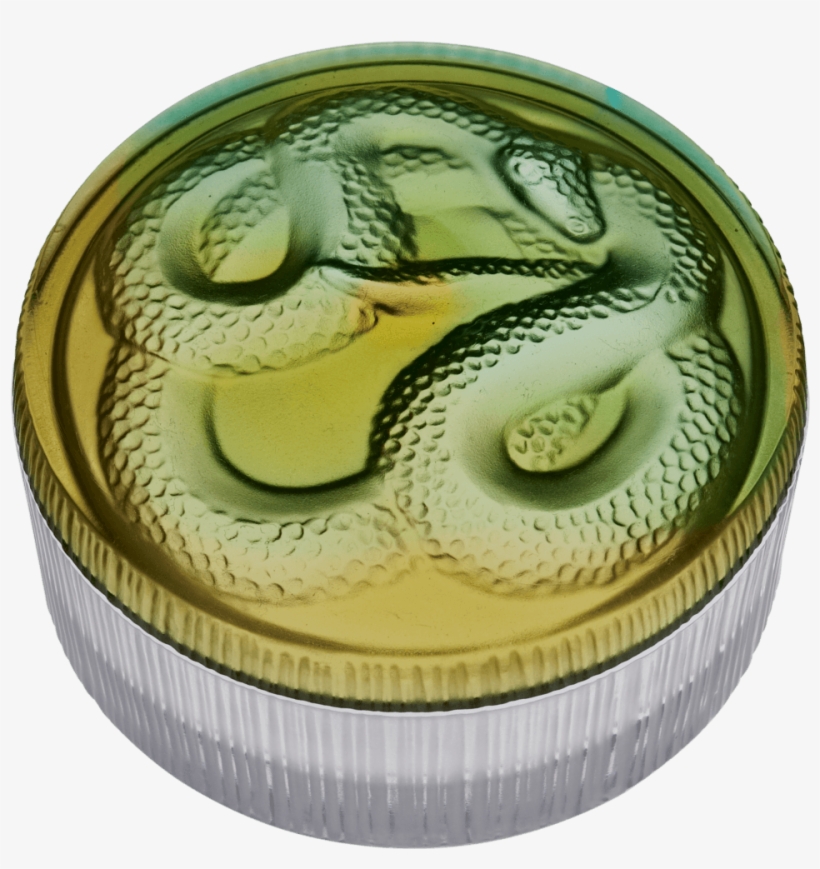 00 Green Snake Box - Snake Box By Daum, transparent png #3612913