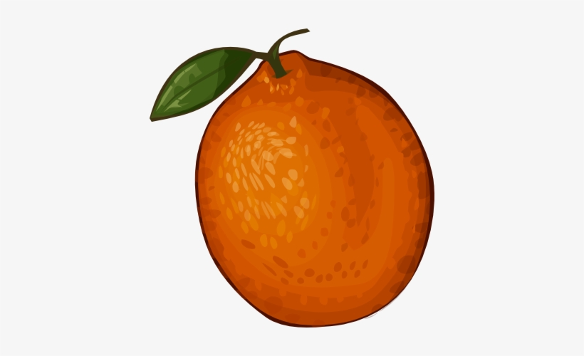 Orange Clip Art - Orange Clipart, transparent png #3613053