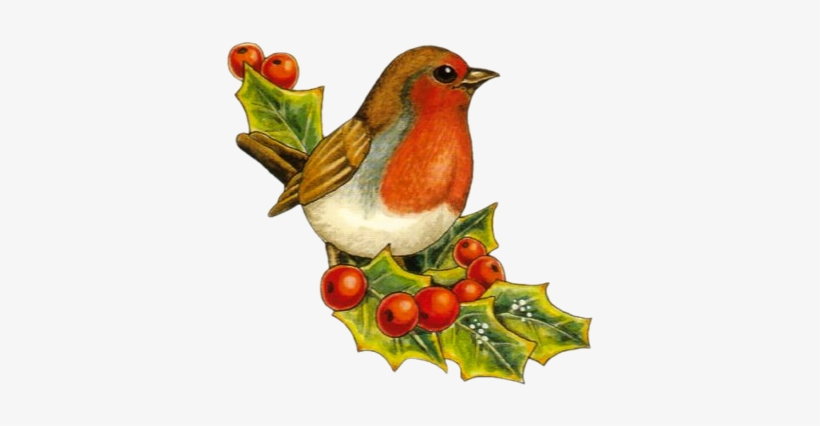 Tube De Noel Oiseau De Noel Free Transparent Png