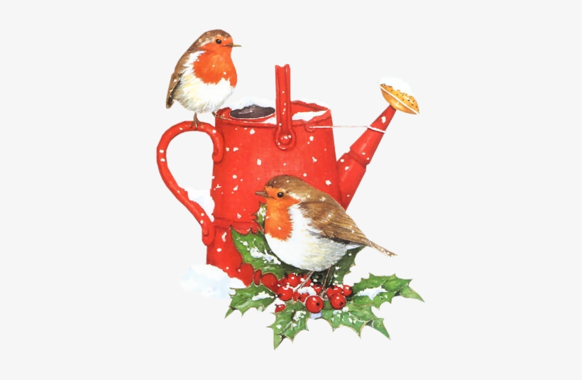 Tube De Noel - Free Clipart Christmas Birds, transparent png #3613212