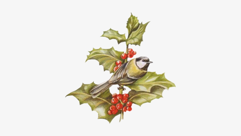 Oiseaux Noel - Christmas Day, transparent png #3613263