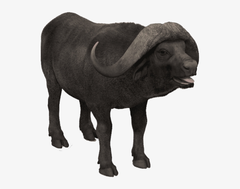 Free Png African Buffalo Photo Png Images Transparent - African Buffalo, transparent png #3614268