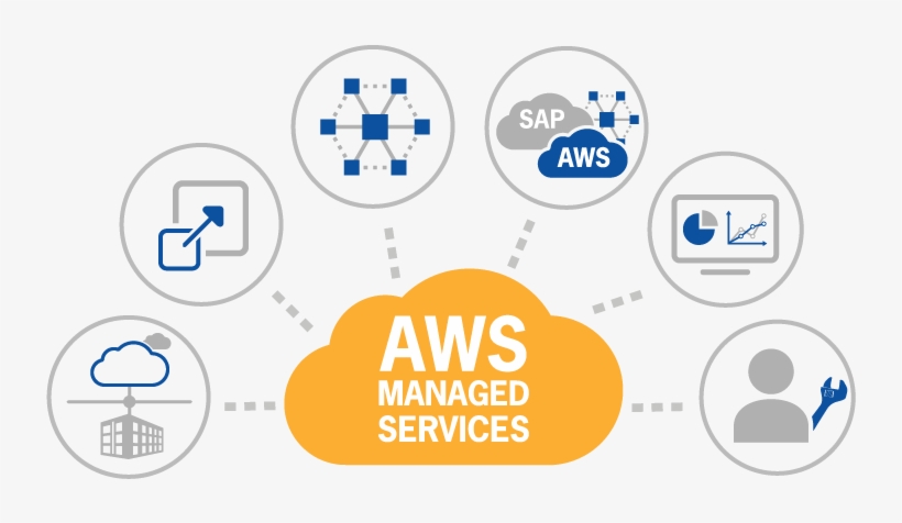 The Trainers At Thincor Academy Kochi Are Subject Specialist - Aws Managed Services, transparent png #3614471