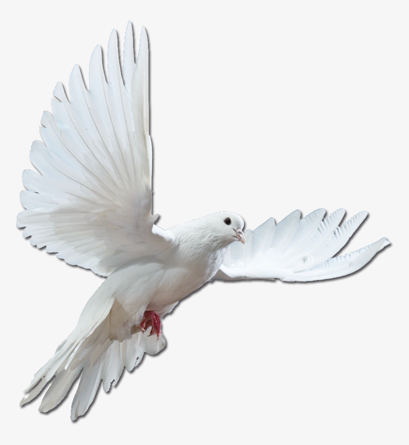 Artistes - > - Psychic School - How To Become A Psychic Medium, transparent png #3614797