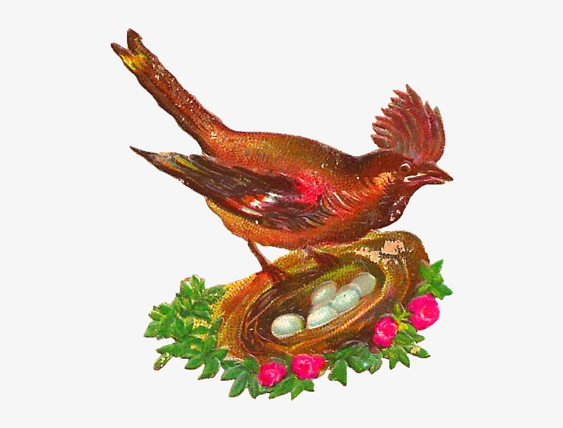 Bird Nest Clipart Free - Clip Art, transparent png #3615207