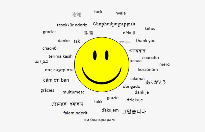 Thank You For Contacting Imm Financial - Origen De Normas Morales, transparent png #3615208