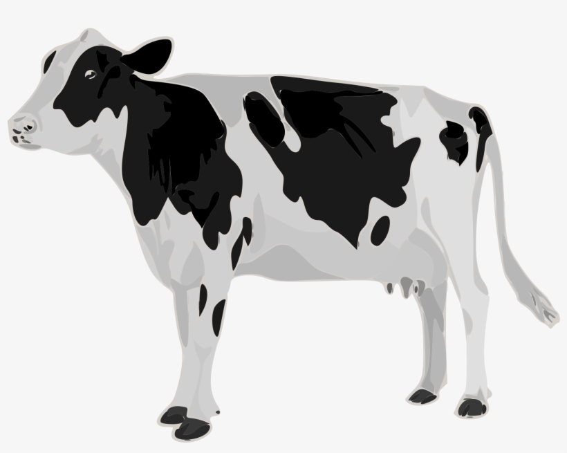 Open - Genetic Study Of Lactation Curve In A Herd Of Holstein, transparent png #3615988