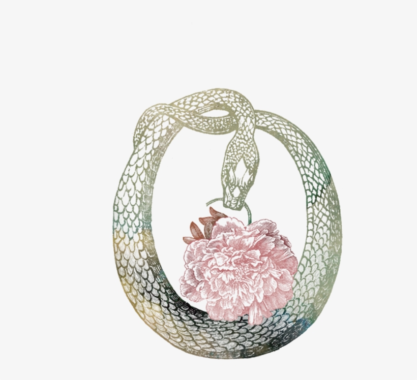 Tramp Web Icon Transparent - Flora Botanical Tissue - Gift Wrap, transparent png #3616085