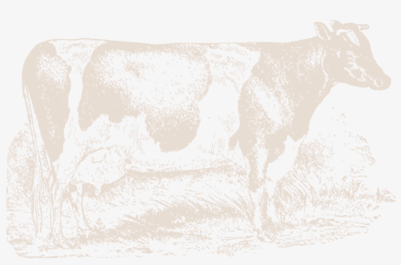 Farmingpagecow-19 - Dairy Cow, transparent png #3616133