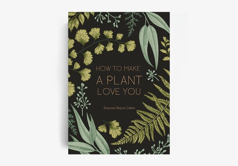 How To Make A Plant Love You - Chariot On The Mountain; Hardcover; Author - Jack Ford, transparent png #3616687