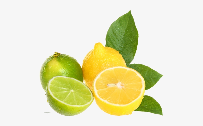 The Pores Management Specialist - Lemon And Lime Clipart, transparent png #3617346