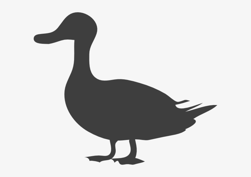 How To Set Use Grey Duck Clipart - Duck Silhouette, transparent png #3618203
