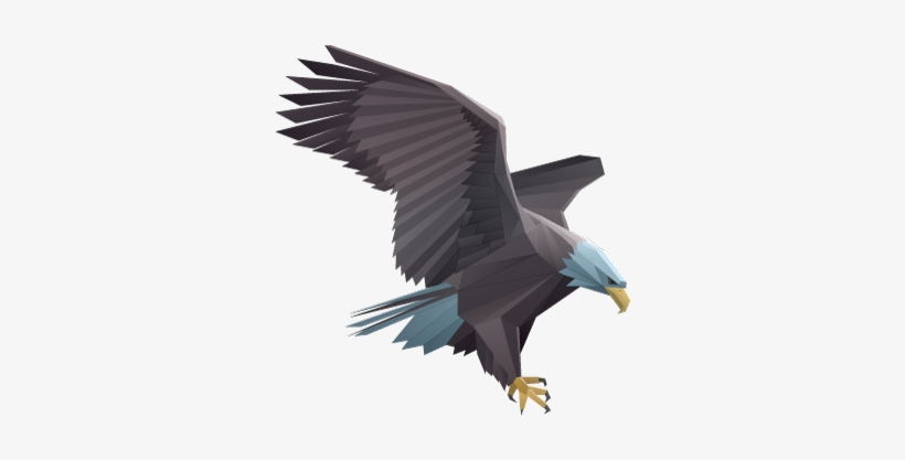 The Fraternal Order Of Eagles Was Founded On February - Low Poly Eagle, transparent png #3618268