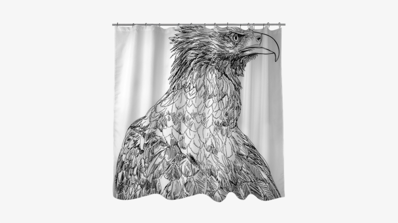 Vector Black & White Drawing Shower Curtain • Pixers® - Sketch, transparent png #3618412